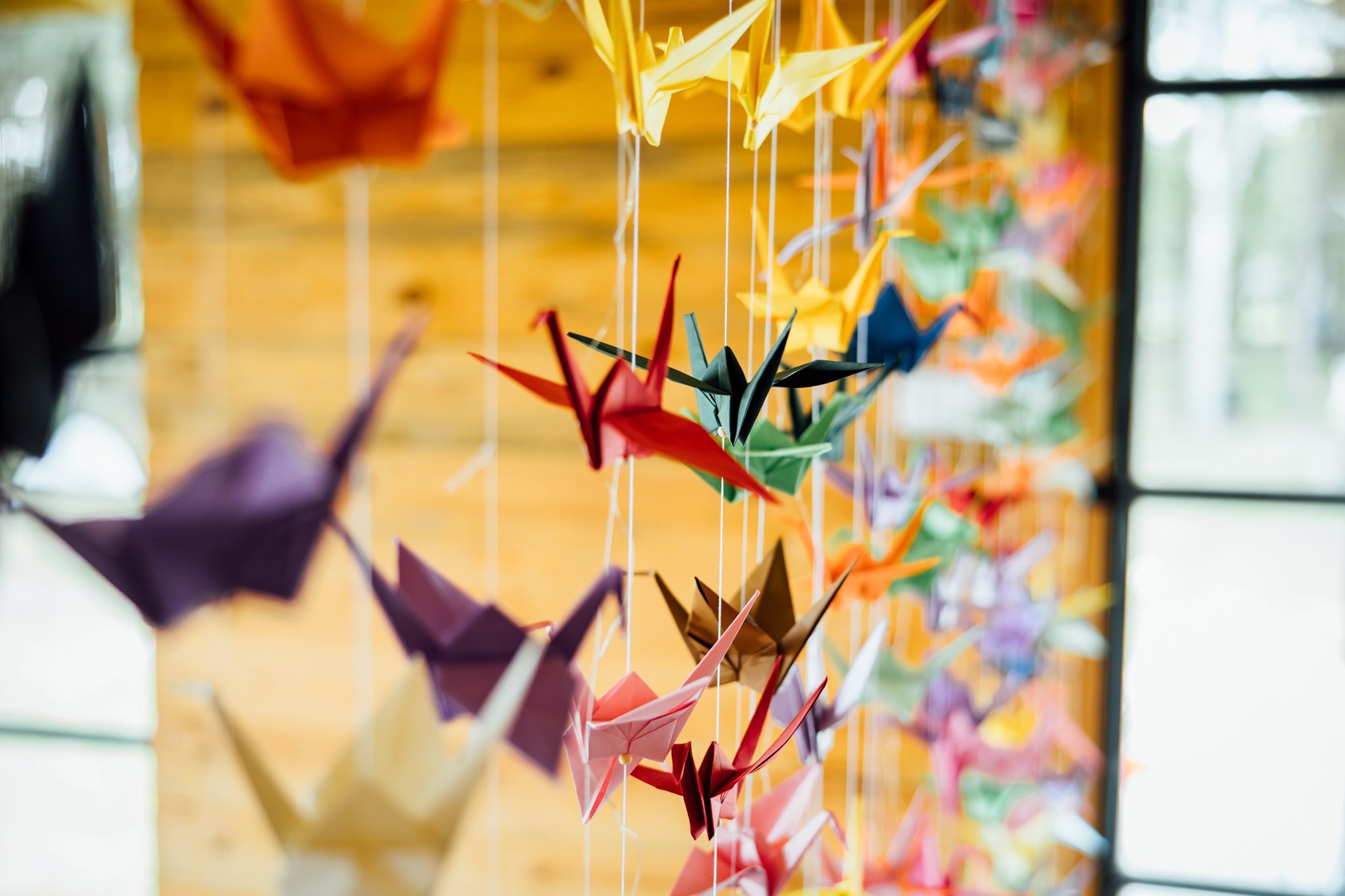 Paulina & Mateusz - wesele w siedlisku Stodoła Kultury - fotografia #1